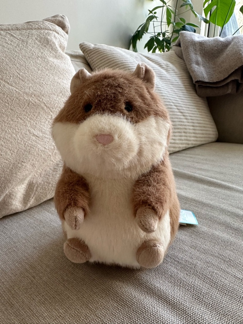 Jellycat Gordy Guinea Pig